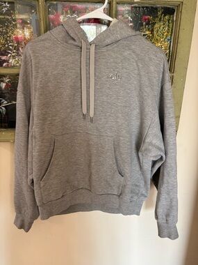ALO Yoga Hoodie Grey Small